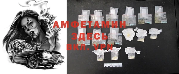 ПСИЛОЦИБИНОВЫЕ ГРИБЫ Богданович