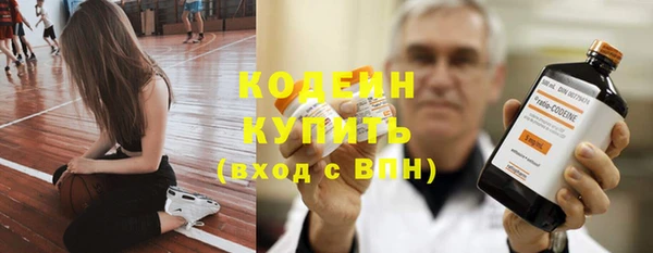 ПСИЛОЦИБИНОВЫЕ ГРИБЫ Богданович