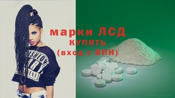 ПСИЛОЦИБИНОВЫЕ ГРИБЫ Богданович