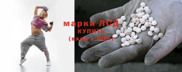 ПСИЛОЦИБИНОВЫЕ ГРИБЫ Богданович