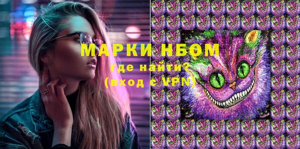 ПСИЛОЦИБИНОВЫЕ ГРИБЫ Богданович