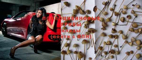 ECSTASY Бронницы