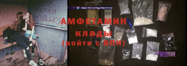 ПСИЛОЦИБИНОВЫЕ ГРИБЫ Богданович