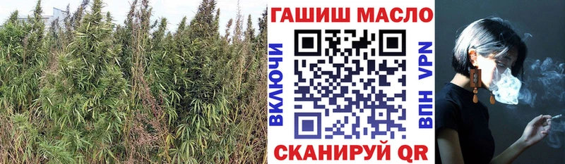 blacksprut онион  Мурманск  ТГК вейп с тгк 
